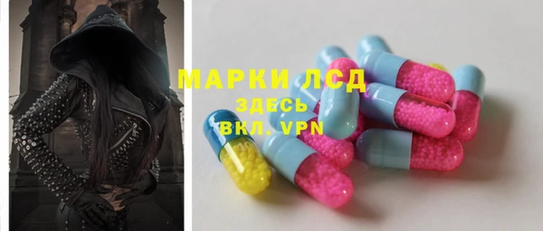 индика Богородск