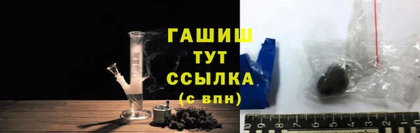 индика Богородск