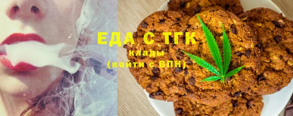 индика Богородск