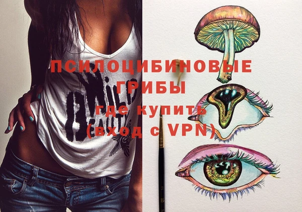 мдма Богородицк