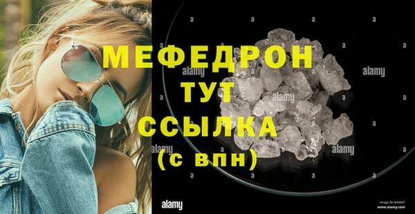 индика Богородск