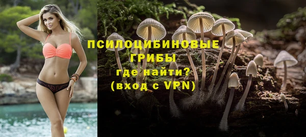 мдма Богородицк