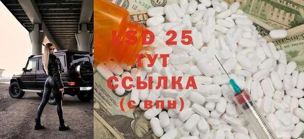 индика Богородск
