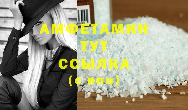 индика Богородск