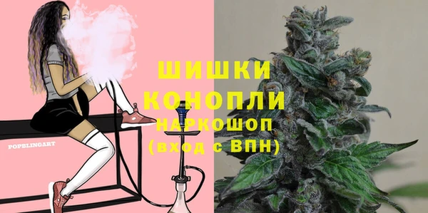 индика Богородск