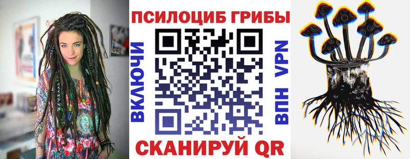 Галлюциногенные грибы Psilocybe  Семёнов 